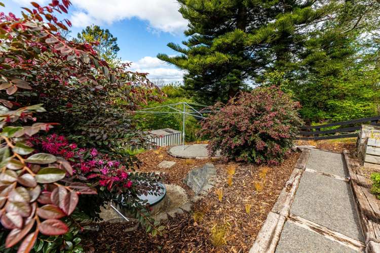 16 Furniss Lane Tauriko_37