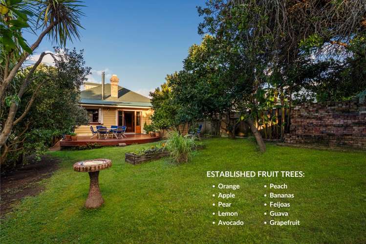 42 Garnet Road Westmere_8