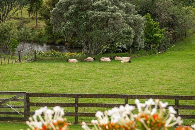 37 Lloyd Road Riverhead_1