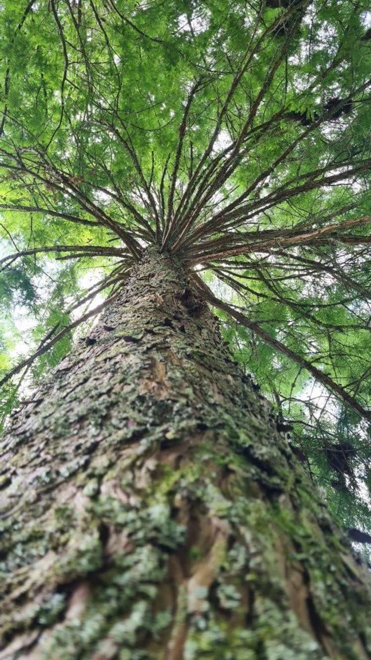 11 Sanctuary Lane Tamahere_44