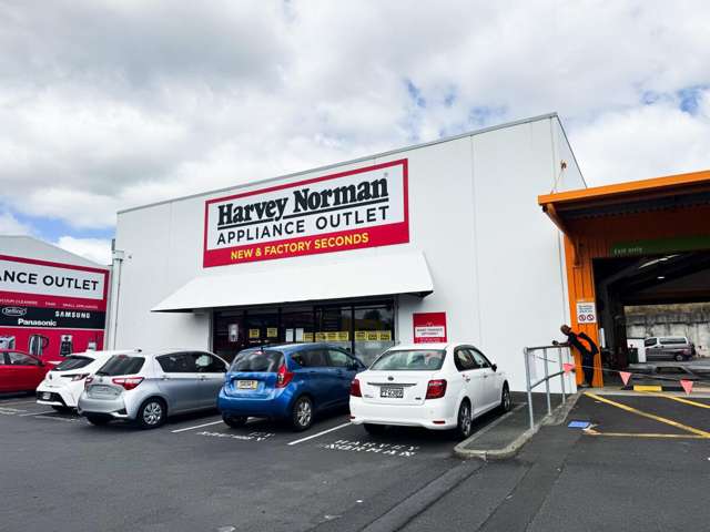 111-141 Apirana Avenue Glen Innes_1