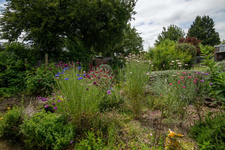 65 Michael Street Rakaia_19