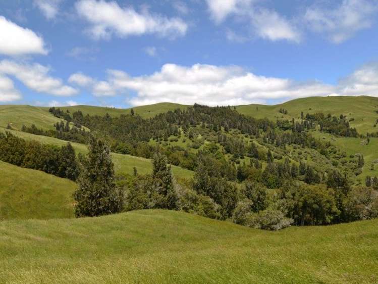 184 Grice Road Wharepuhunga_18