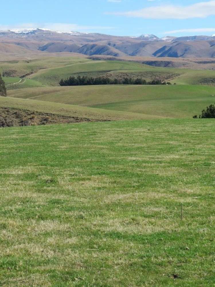 649 Kauru Hill Road Five Forks and Surrounds_14