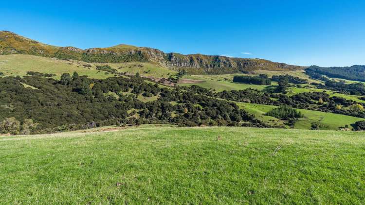 168-240 Purau Port Levy Road Purau_14