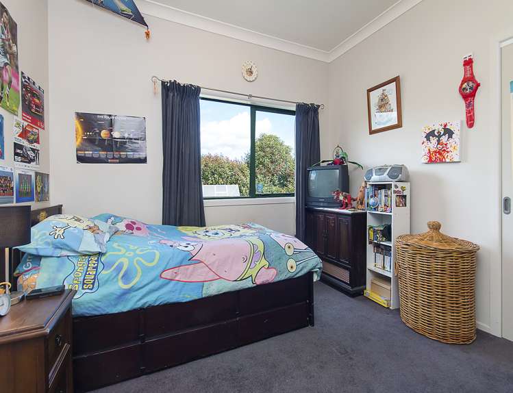 491 Morrison Road Pukekawa_7