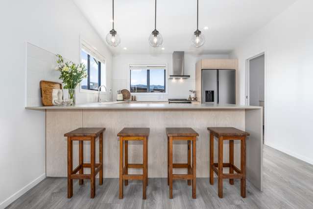 14 Ash Close Levin_4