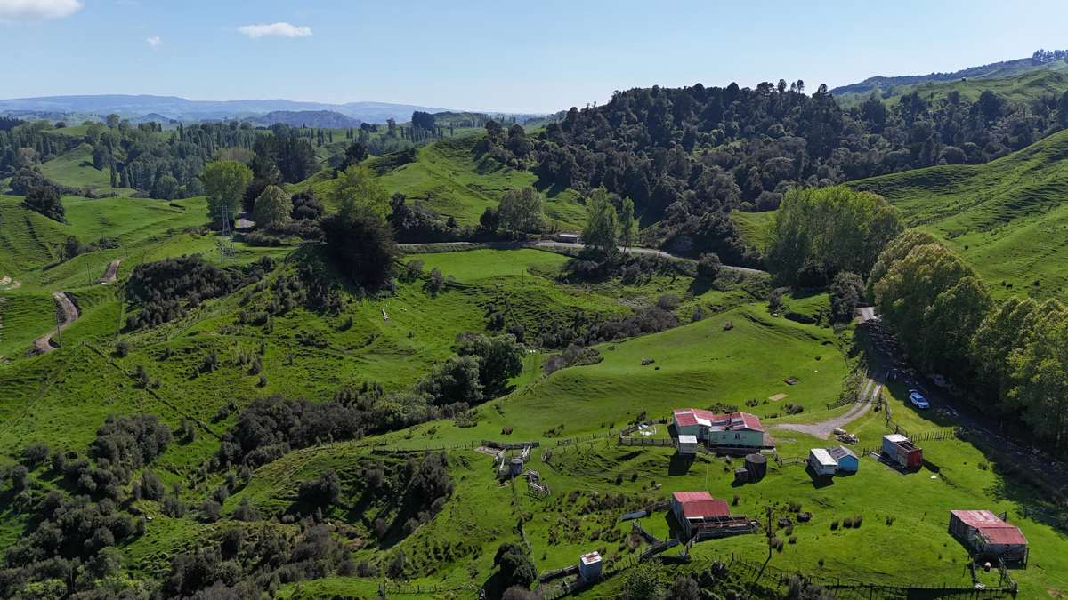 194 Tiriraukawa Road_3