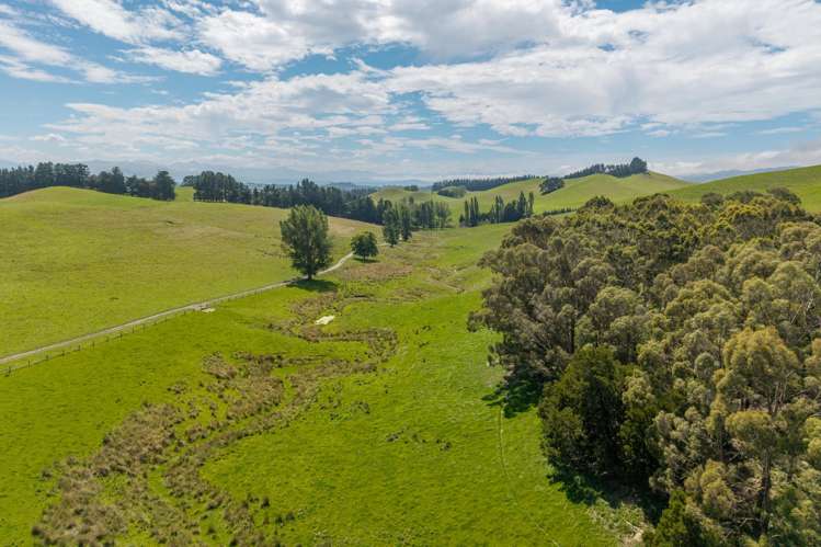 299 Domett Road Domett_8