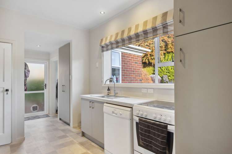 26 Mayfield Avenue Wakari_7