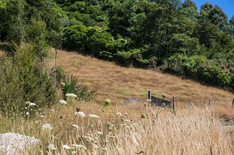 3 Beach Place Havelock_6