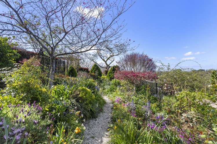 136 Potter Road Dairy Flat_16