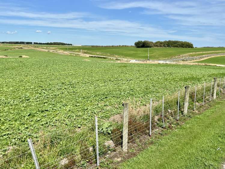 135 Orr Road Waimatua_10