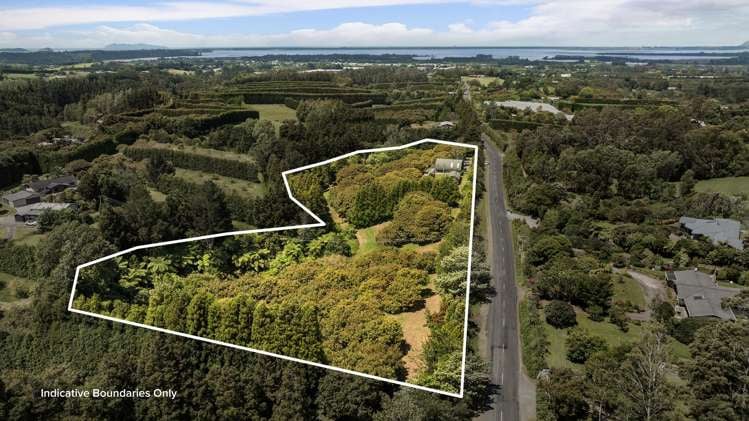 244 Wharawhara Road Katikati_20