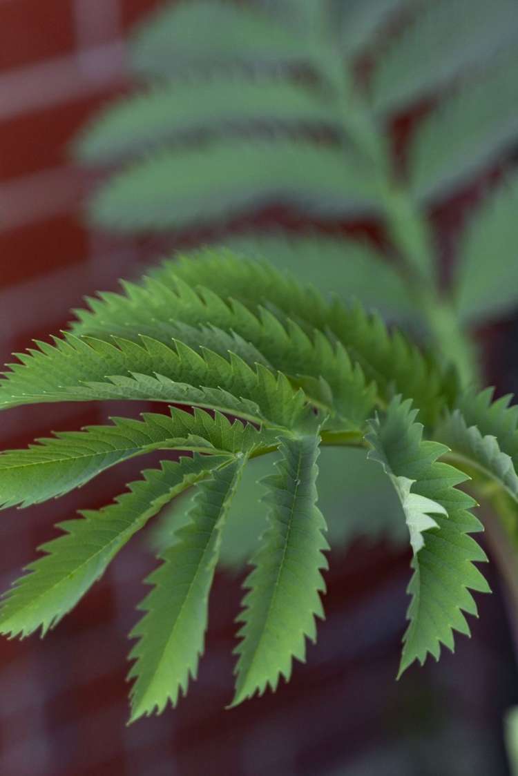 36/28 James Street Lincoln_17