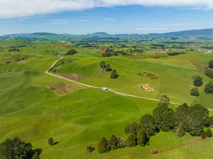 385 Whirinaki Valley Road Rotorua Surrounds_10