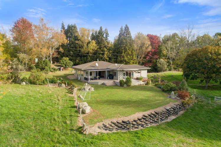 1561 Whirinaki Valley Road Ngakuru_20