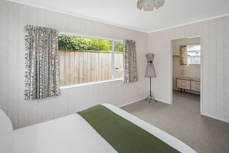 33a Devonshire Road Miramar_8