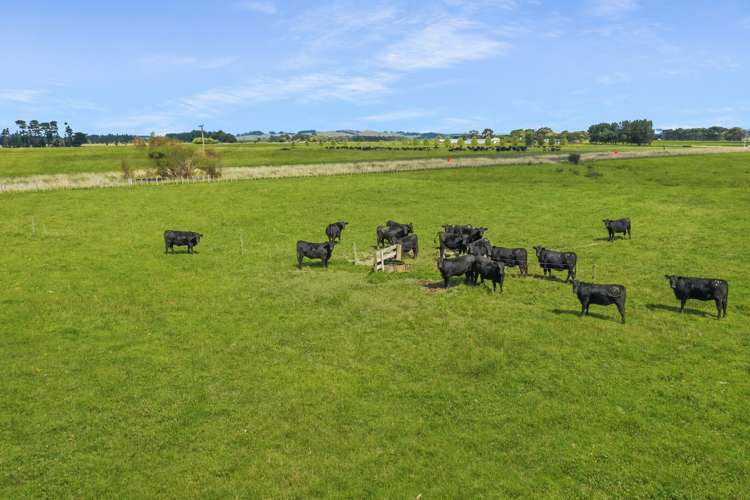 Broomfield Road Woodville_10