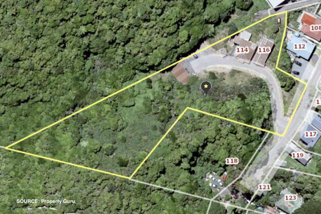 114 Holloway Road Aro Valley_3