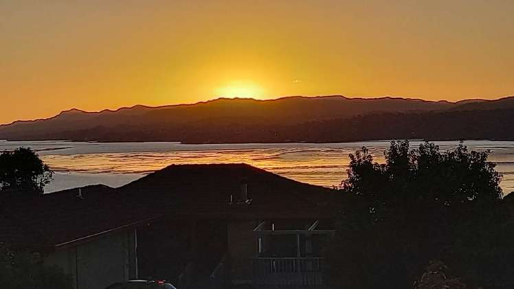 10 Sylvania Crescent Lynfield_29