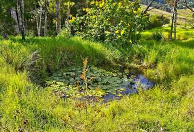 Lot lot 2 Koutu Loop Road_3
