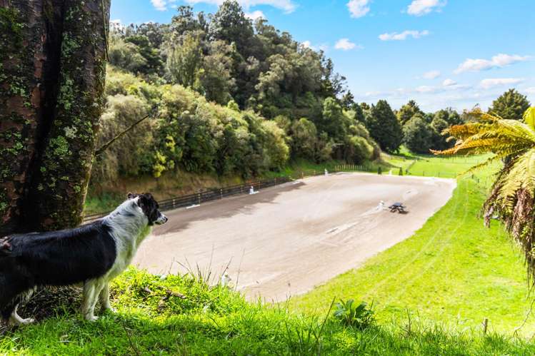 Lot 1,1278 Poihipi Road Oruanui_7