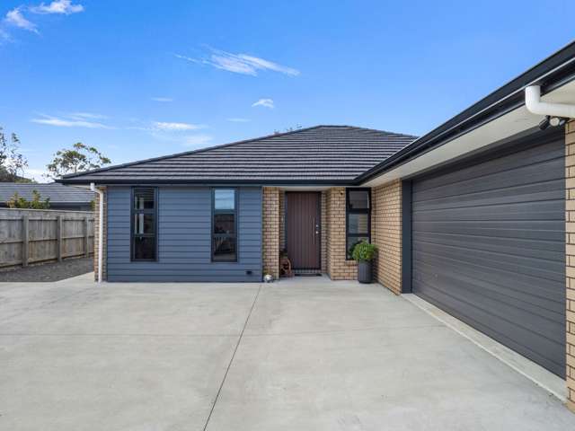46 Tawhero Street Gonville_4