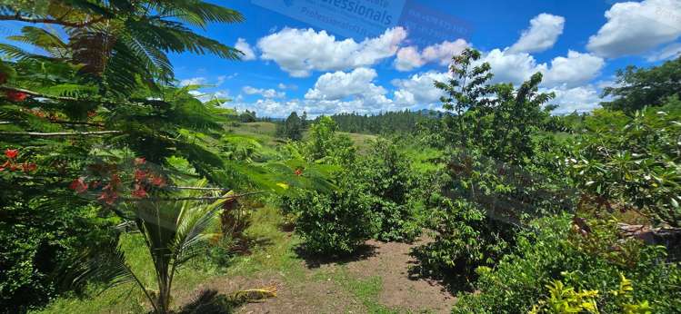 Address withheld Nadi_29