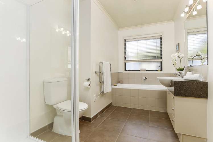 240 Pine Valley Road Dairy Flat_18