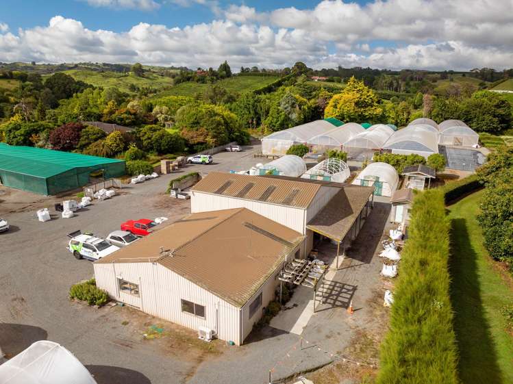 389 Old Highway Whakamarama_5