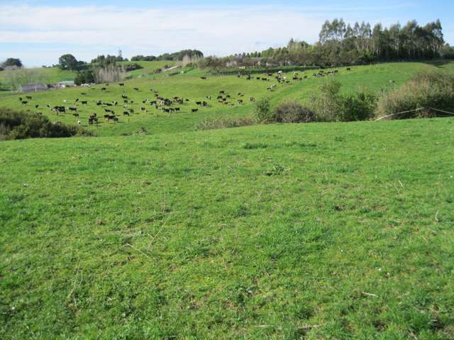 41 Leyland Road Whakamarama_2