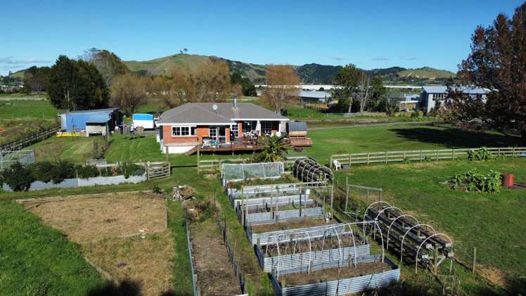 151 Domain Road Papamoa Beach_11