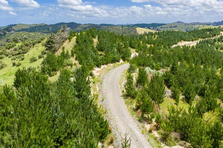 Lot/12 Arcadia Road Paparoa_14