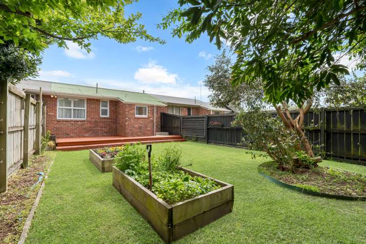 3/120 Rosebank Road Avondale_12