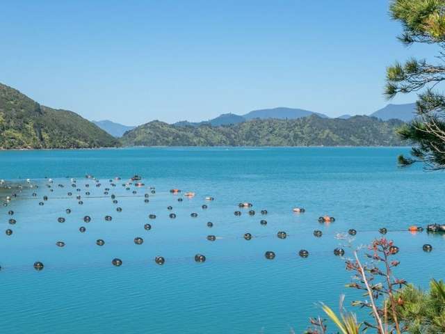 Waitaria Bay Kenepuru Sound_4