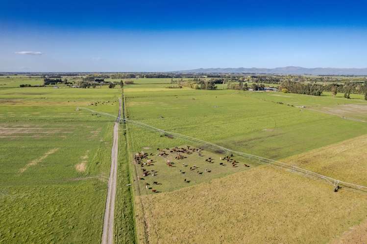 563 Drain Road Leeston_10
