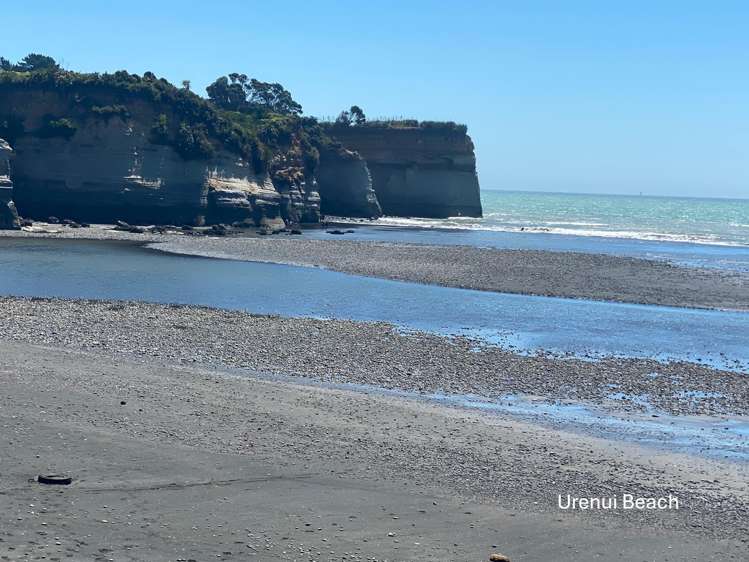 52 Fifth Avenue Urenui_12