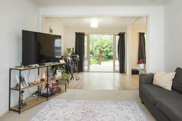 232 Kotare Road Ruakituri_3