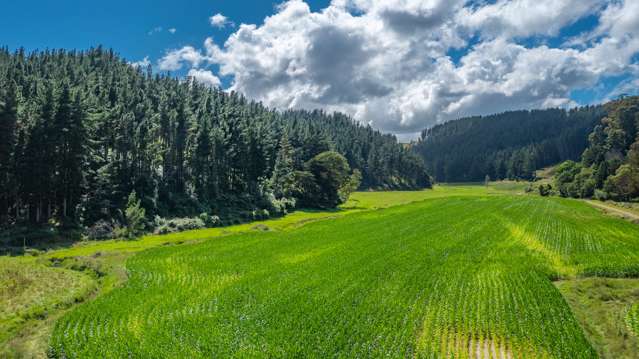 532 Waiatai Road Wairoa_4