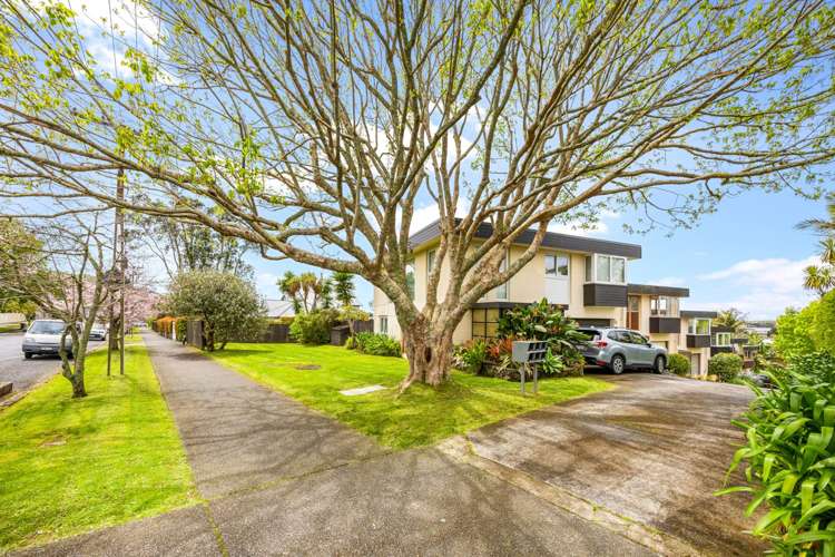 2/6 Penrhyn Road Mount Eden_19