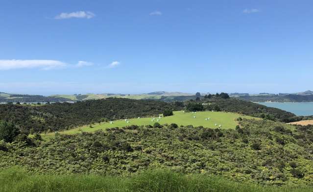 Redcliffs Road Kerikeri_2