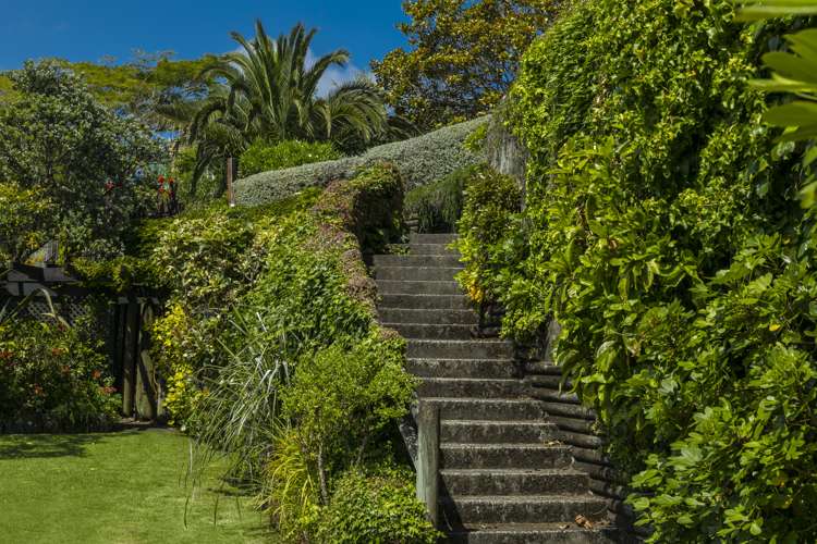 122 Vauxhall Road Narrow Neck_25