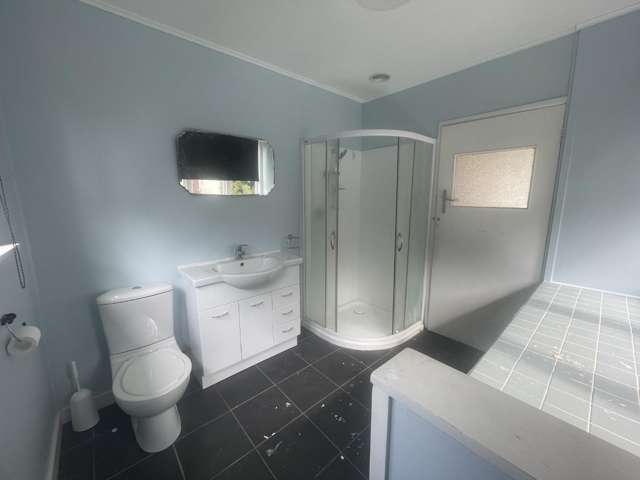 102 Tirau Street Putaruru_2