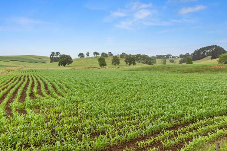 260b Bain Road Ruawaro_9