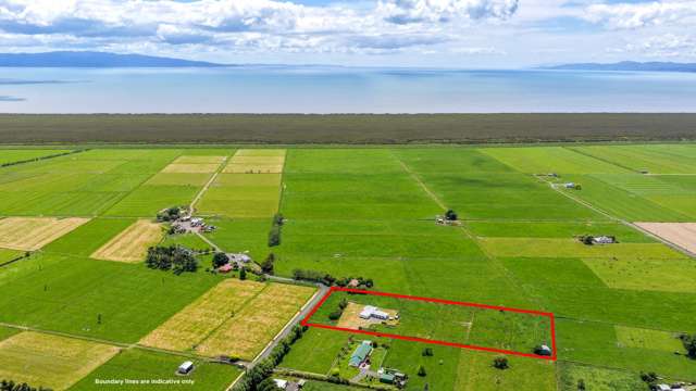 Room to grow in the heart of the Hauraki Plains
