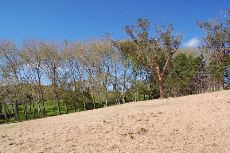Lot 5 Pavel Place Kaiwaka_6