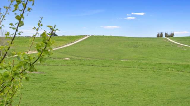 26 Bailey Road Wellsford_3