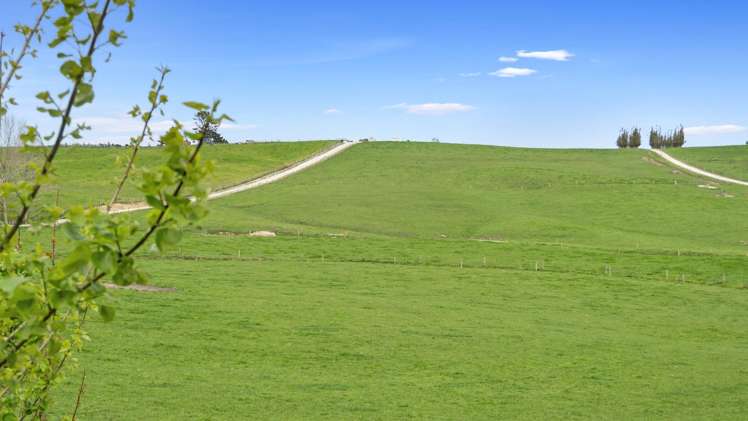 26 Bailey Road Wellsford_3