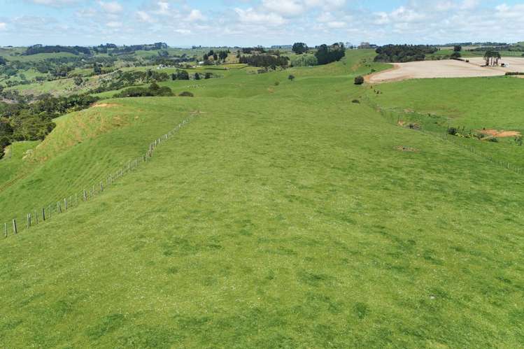 357 Onewhero-Tuakau Bridge Road Onewhero_10